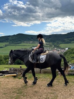 Valach na predaj - 5