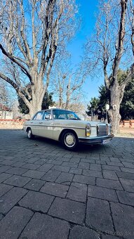Auto na svadbu - Mercedes w115 - 5