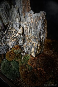 Bonsai Krajinka v miske 78x38cm, Vlastná produkcia - 5