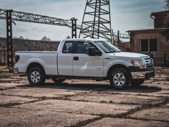 Ford F150 - 5