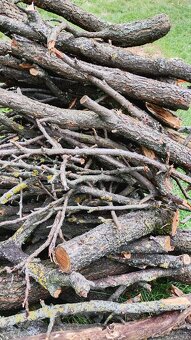 drevo na kúrenie - 5