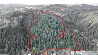 Korňa – 20.800 m2 LES s prístupom z obce - 5