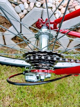 Bicykel Vector-Cobra - 5