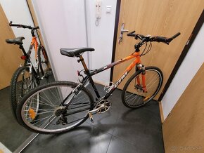 CTM BORA CROSS - 5