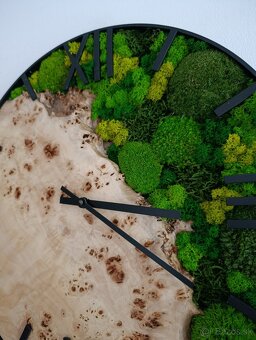 Machové hodiny topoľové - 5