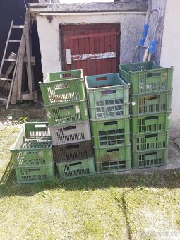 Prepravky na zeleninu - 5