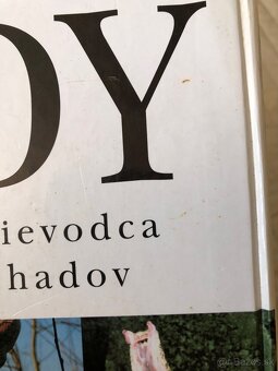 Chris Mattison: Hady - 5