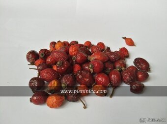 Pieninica sušené byliny 2025 - 5