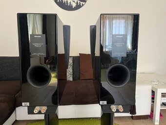 Dynaudio Confidence C1 Platinum - 5