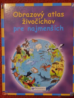 Detske knihy vo vybornom stave - 5