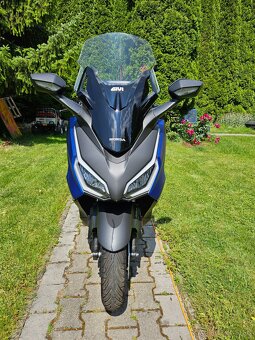 HONDA FORZA 125 2024 - 5