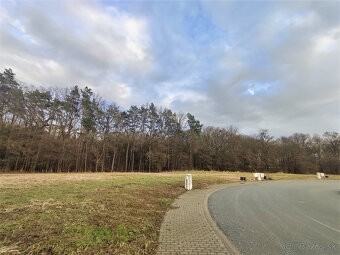 Výnimočný pozemok pod lesom, Malá Ida (Panský les), 595m2 - 5