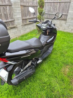 Honda pcx 125 - 5