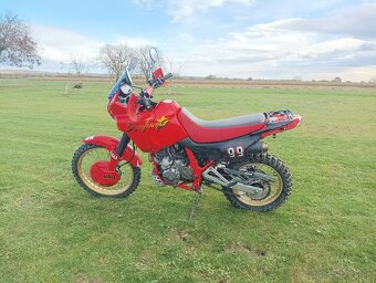 Honda dominator 650 - 5