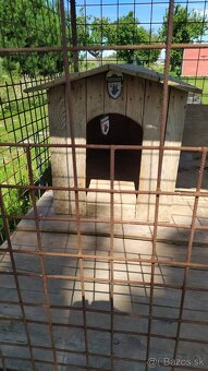 Predám voliéru, búdu a prepravnú klietku pre psa - 5