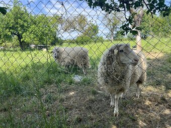 Kamenný dom s dušou – na predaj v tichej obci pri kú… - 5