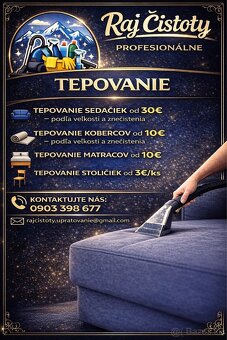 Profesionálne tepovanie interiéru vozidiel - 5