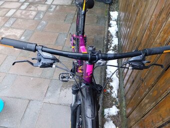 Predam Leader fox galaxy . - 5