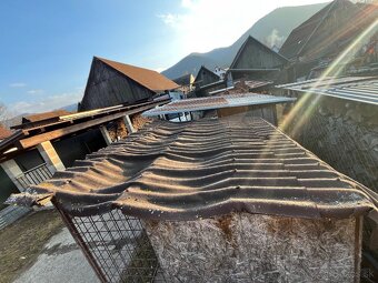 Predam psiu budu. - 5