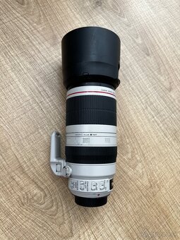 Canon EF 100-400mm f/4.5-5.6 L IS II USM - 5