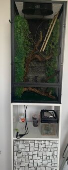 Predám terarium pre chameleona - 5
