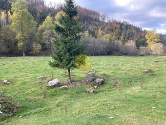 Krásny, slnečný pozemok - Mlynky 921 m2 - 5