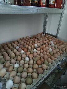 Domáce vajíčka - 5