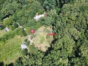 Pozemok na predaj v obci Vinné, okr. Michalovce - 5