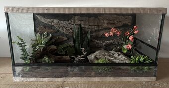 Terárium 70x40x40 s 3D stenou - 5