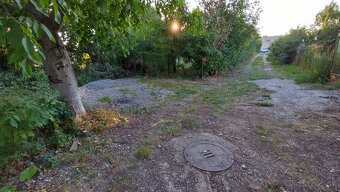 Záhrada Košice - v meste 361m, OV, celoročný prístup - 5
