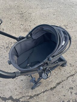 Kočik pre psika - 5