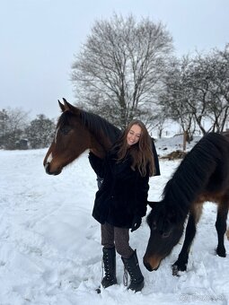 Vycvik koni, jazdcov - 5