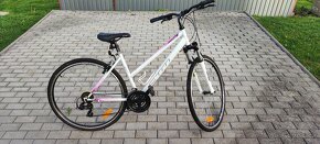 Dámsky bicykel CTM - 5