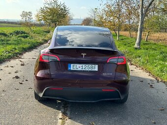 Tesla Model Y 75kWh Performance AWD - 5