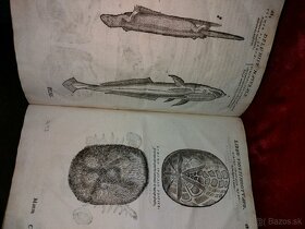 Stara velka kniha Encyklopedia živočíšnej ríše z r. 1672 - 5