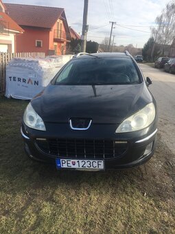 Peugeot 407sw - 5