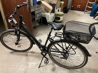 Damsky bicykel CTM Amber 1.0 2019 - 5