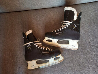 pánske korčule - 5