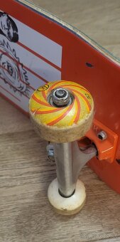 Arbor skateboard - 5