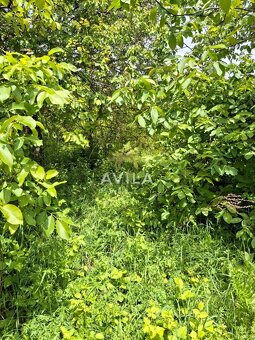 Na predaj: záhrada v atraktívnej lokalite Nové Mesto nad Váh - 5