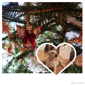 Prenájom chalupy na prázdniny, víkend na relax - 5