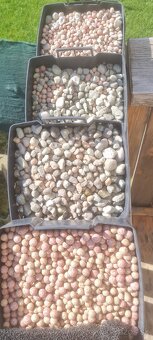 Eheim 4+ 2275 profesional - 5