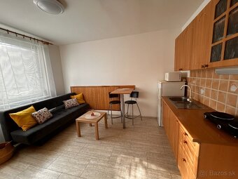 PET friendly útulná garsónka - 5