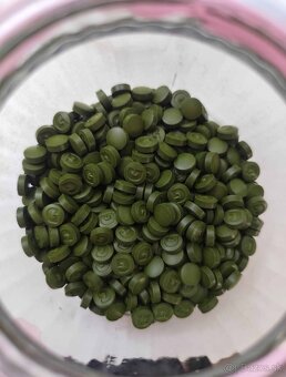 ZELENÉ POTRAVINY CHLORELLA/ZELENÝ JAČMEŇ GREEN WAYS - 5