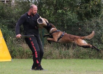 Belgicky ovčiak s PP - 5