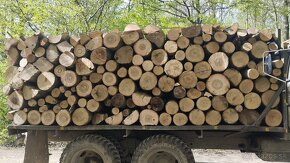Palivové drevo s dovozom - 5