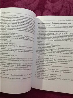 Nezaměstnanost psychologický, ekonomický, sociální problém - 5