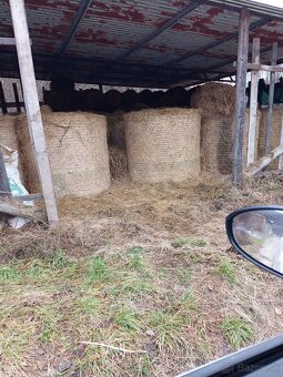 Predám balíky sena - 5