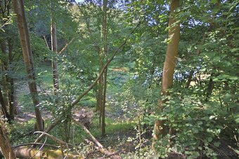 Na predaj pozemok pri rybníku Veterník v Kremnici - 5