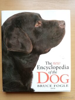 Rozne encyklopedie - 5